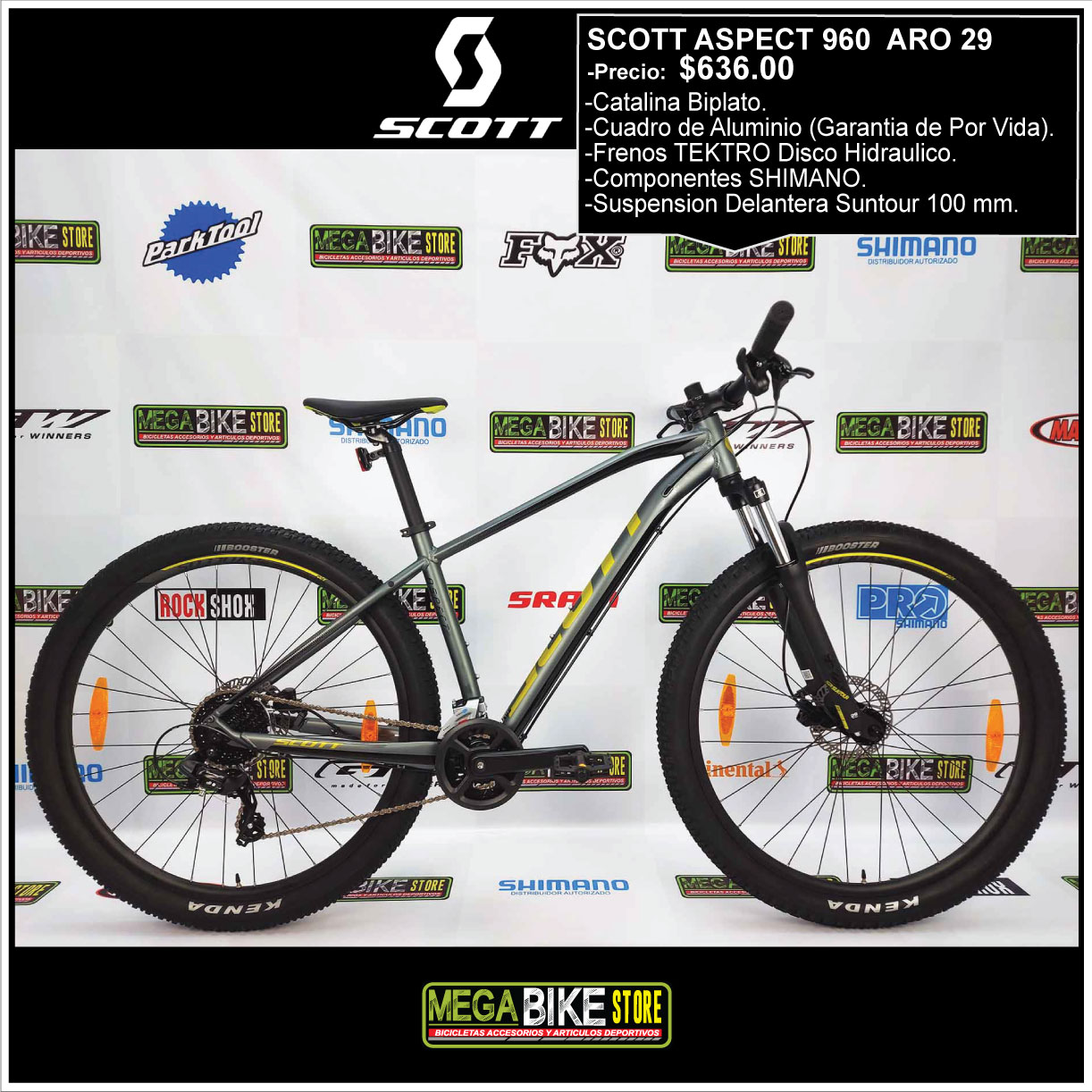 scott aspect 960 29